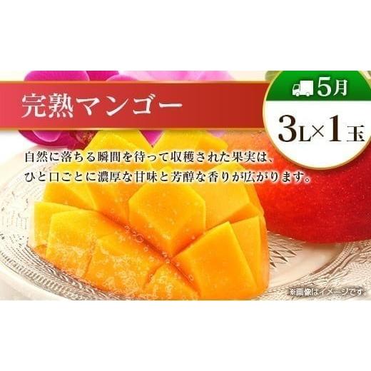 ふるさと納税 果物の詰合せ 宮崎県 -  奇数月 6回定期便 旬 人気 フルーツ 南国宮崎産 マンゴー ピオーネ いちご みかん メロン 柑橘 ぶどう 果物 詰め合わせ …_5
