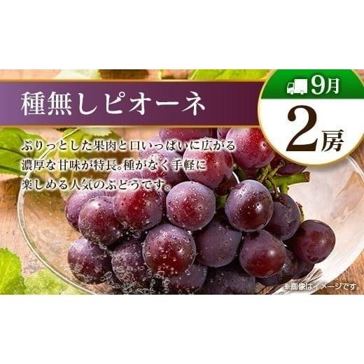 ふるさと納税 果物の詰合せ 宮崎県 -  奇数月 6回定期便 旬 人気 フルーツ 南国宮崎産 マンゴー ピオーネ いちご みかん メロン 柑橘 ぶどう 果物 詰め合わせ …_7