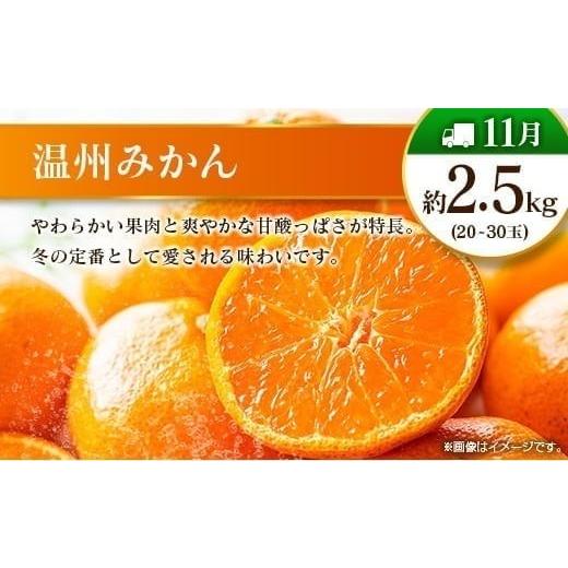 ふるさと納税 果物の詰合せ 宮崎県 -  奇数月 6回定期便 旬 人気 フルーツ 南国宮崎産 マンゴー ピオーネ いちご みかん メロン 柑橘 ぶどう 果物 詰め合わせ …_8