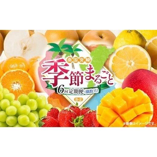 ふるさと納税 果物の詰合せ 宮崎県 -  偶数月 6回定期便 旬 人気 フルーツ 南国宮崎産 マンゴー シャインマスカット いちご 日向夏 梨 みかん 柑橘 ぶどう 果…_1