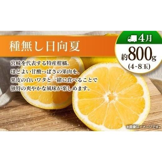 ふるさと納税 果物の詰合せ 宮崎県 -  偶数月 6回定期便 旬 人気 フルーツ 南国宮崎産 マンゴー シャインマスカット いちご 日向夏 梨 みかん 柑橘 ぶどう 果…_4