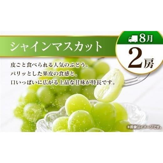 ふるさと納税 果物の詰合せ 宮崎県 -  偶数月 6回定期便 旬 人気 フルーツ 南国宮崎産 マンゴー シャインマスカット いちご 日向夏 梨 みかん 柑橘 ぶどう 果…_6