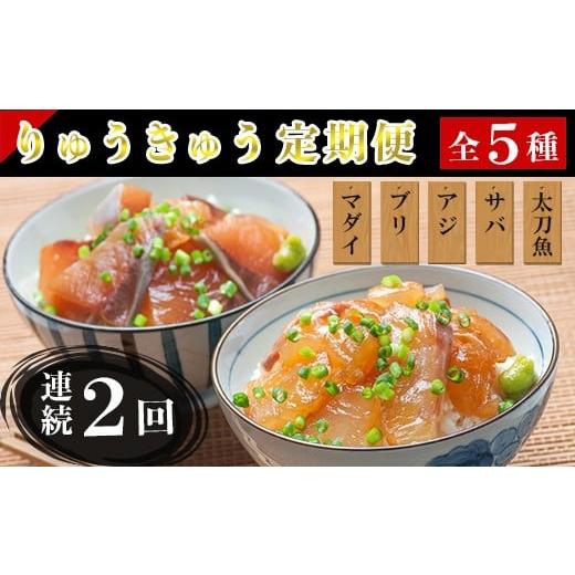 ふるさと納税 魚貝類 鯛 大分県 杵築市 定期便・全2回(連続) りゅうきゅう5種定期便(真鯛・ぶり・豊後あじ・豊後さば・太刀魚) 各1食×2回 海鮮丼 定期便 2回…