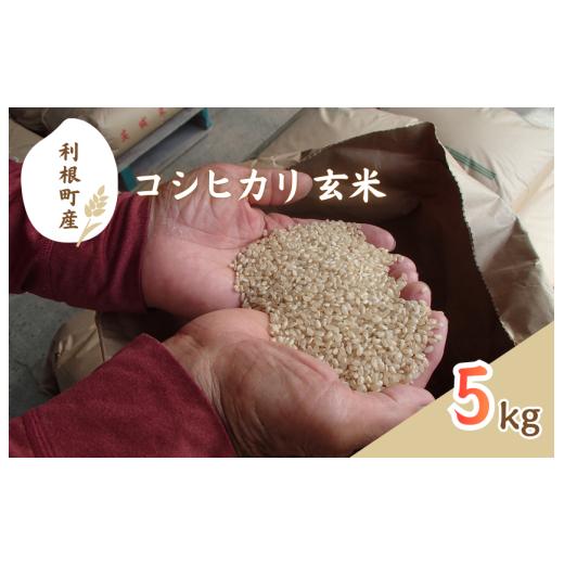 ふるさと納税 玄米 茨城県 利根町 利根町産 コシヒカリ 玄米 5kg / 米 こめ コメ お米 おこめ コシヒカリ こしひかり 令和7年産 新米 玄米 ごはん ご飯 5k…