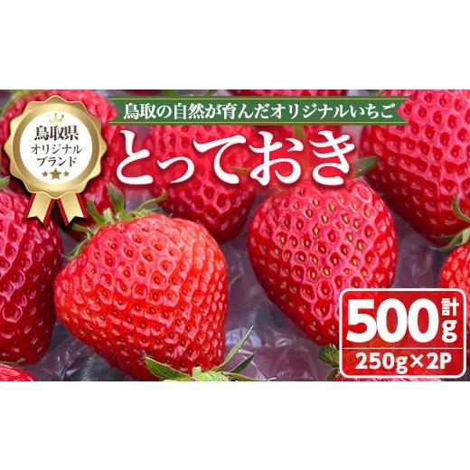 ふるさと納税 いちご 鳥取県 境港市 数量限定 期間限定 2026年1月中旬〜3月下旬発送予定 鳥取県オリジナルブランドのいちご「とっておき」(計500g・250g×2P)…