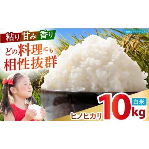 ふるさと納税 米 ヒノヒカリ 佐賀県 江北町 令和7年産 ヒノヒカリ 白米 10kg 有限会社江北商会 新米 精米 米 おこめ