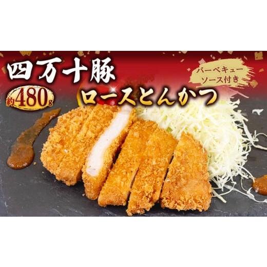 ふるさと納税 豚肉 焼肉・バーベキュー 高知県 須崎市 豚肉 とんかつ 480g 4人前 ブランド豚 四万十ポークカツ 豚カツ バーベキューソース付き 高知県 須崎市 …