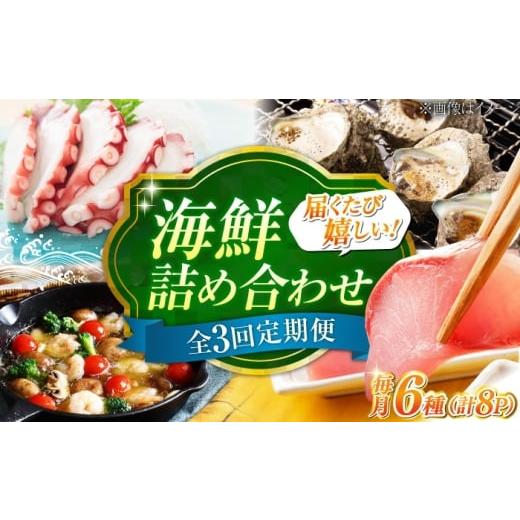ふるさと納税 魚貝類 しらす 広島県 江田島市 全3回定期便 海鮮 6種 詰め合わせ「梅」 海鮮 魚介類 冷凍 水産加工品 海藻 鮮魚 さかな 刺身 詰め合わせ セッ…