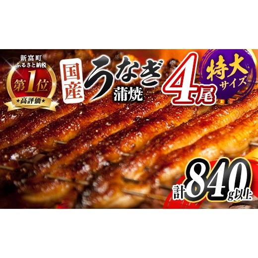ふるさと納税 うなぎ 宮崎県 新富町 2026年8月お届け 特大 鰻楽 国産