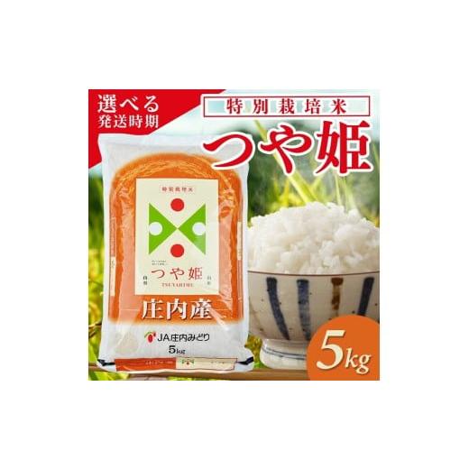 ふるさと納税 米 つや姫 山形県 遊佐町 庄内産つや姫5kg(令和7年産米)3月上旬 令和8年3月上旬発送