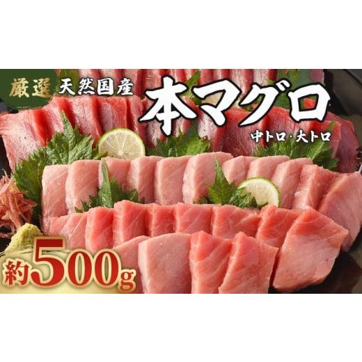 ふるさと納税 マグロ 高知県 室戸市 数量限定 厳選 天然本マグロ 中トロ・大トロ 500g以上 国産 魚 高知県 刺身 刺し身 漬け丼 海鮮丼 おかず 魚介類 海鮮 …