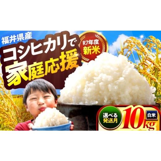 ふるさと納税 米 コシヒカリ 福井県 小浜市 通常発送 小浜市産コシヒカリ 精米 10kg 若狭の自然が育てたごはん 国産米 福井県 / 白米 地域密着 米問屋 小浜…