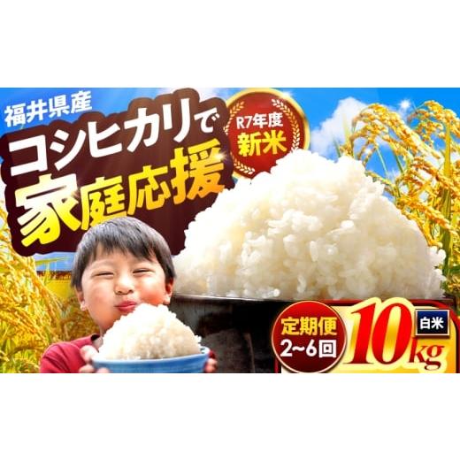 ふるさと納税 米 コシヒカリ 福井県 小浜市 2か月連続発送 小浜市産コシヒカリ 精米 10kg 若狭の自然が育てたごはん 国産米 福井県 / 白米 新米 地域密着 米…