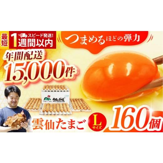 ふるさと納税 卵(鶏、烏骨鶏等) 長崎県 - 常温配送 卵 スピード発送 Lサイズ160個(150個+割れ補償10個入り) 長崎県/塚ちゃん雲仙たまご村 42ACAE006 卵 …