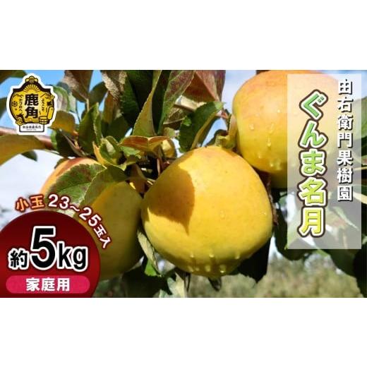 ふるさと納税 りんご 秋田県 鹿角市 由右衛門果樹園 りんご 家庭用「ぐんま名月」小玉 約5kg ( 23〜25玉 ) 由右衛門果樹園 ●2025年12月上旬発送開始 りんご …