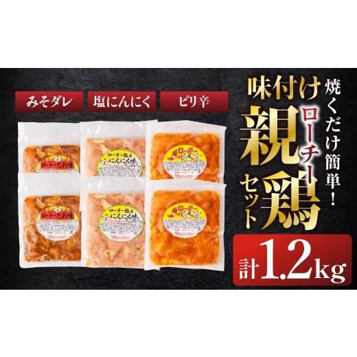 ふるさと納税 惣菜・レトルト 冷凍 愛知県 豊橋市 味付け親鶏セット 計1.2kg 3種 食べ比べ タレ 塩 にんにく ピリ辛 鶏肉 肉 鶏 味付け肉 簡単調理 焼くだけ …