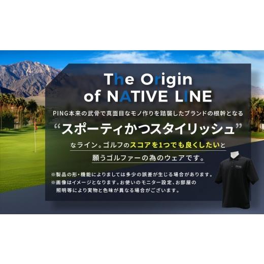 ふるさと納税 ゴルフグッズ ウェア 和歌山県 上富田町 ピンゴルフ カノコオーバー 半袖ポロシャツ ブラック Lサイズ ブラック Lサイズ_3
