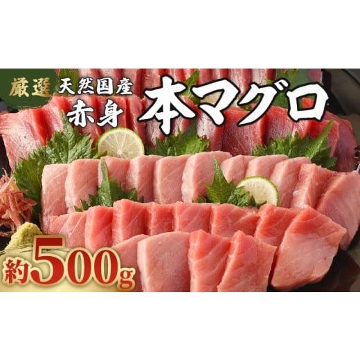 ふるさと納税 マグロ 高知県 室戸市 数量限定 厳選 天然 本マグロ 赤身 500g 以上 国産 鮮魚 高知県 室戸市 刺身 刺し身 漬け丼 海鮮丼 おかず 魚介類 海鮮 …
