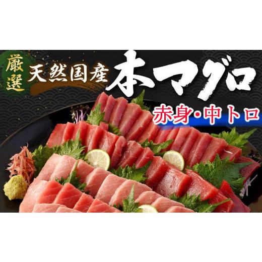 ふるさと納税 マグロ 高知県 室戸市 数量限定 天然 本マグロ 中トロ・赤身 1kg 国産 魚 高知県 室戸市 刺身 刺し身 漬け丼 海鮮丼 おかず 魚介類 海鮮 海産物…