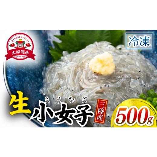 ふるさと納税 魚貝類 しらす 岩手県 大船渡市 生 小女子(こうなご) 三陸産 数量限定 500g 冷凍 刺身 生食 小分け 刺身用 生食可能 小女子 こうなご 新子 しん…