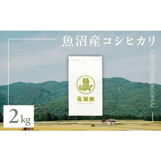 ふるさと納税 米 コシヒカリ 新潟県 津南町 令和7年産 魚沼産コシヒカリ「亀福 原点復帰米」2kg(特別栽培米) | お米 おこめ 白米 精米 おすすめ 人気 新潟県 …