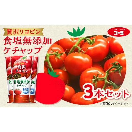 ふるさと納税 調味料・油 愛知県 豊橋市 ーミ 贅沢リコピン食塩無添加ケチャップ 3本セット (1本 あたり285g) ケチャップ 無添加 食塩 コーミソース コーミ株…