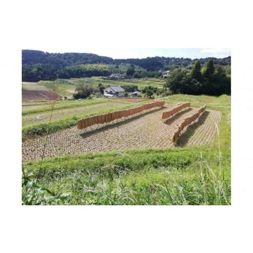 ふるさと納税 玄米 大分県 由布市 無農薬・化学肥料不使用 大地の恵みをたっぷり受けた うるち米 ヒノヒカリ(玄米)5kg