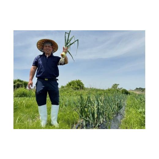 ふるさと納税 体験チケット 宮城県 塩竈市 寒風沢漁業・島体験セット（3名迄）｜kr00001-3m 3名迄_2