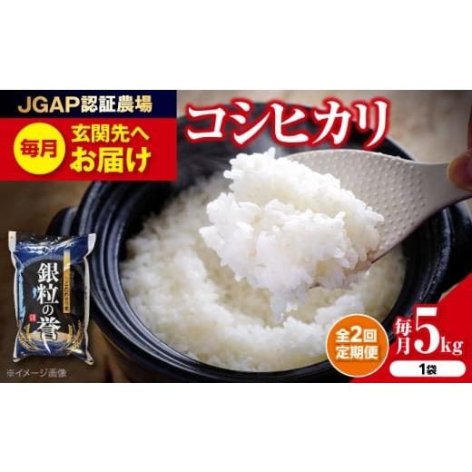 ふるさと納税 米 コシヒカリ 広島県 三次市 全2回定期便 産地直送 特産品 令和7年産米 米 こしひかり 5kg コシヒカリ 米 5キロ 5キロ 5kg 小分け お米こ…