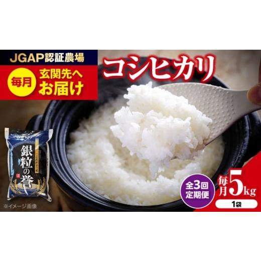 ふるさと納税 米 コシヒカリ 広島県 三次市 全3回定期便 令和7年産米 米 こしひかり 5kg コシヒカリ 米 5キロ 5キロ 5kg 小分け お米 こめ おこめ コメ …