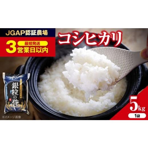 ふるさと納税 米 コシヒカリ 広島県 三次市 スピード発送 こしひかり 5kg コシヒカリ こしひかり 米 5kg 5キロ お米 こめ おこめ コメ 白米 令和7年産 令和7…