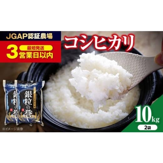 ふるさと納税 米 コシヒカリ 広島県 三次市 スピード発送 米 こしひかり 10kg(5kg×2袋) コシヒカリ 米 10kg 10キロ 10キロ 10kg 5kg 5キロ 5キロ …