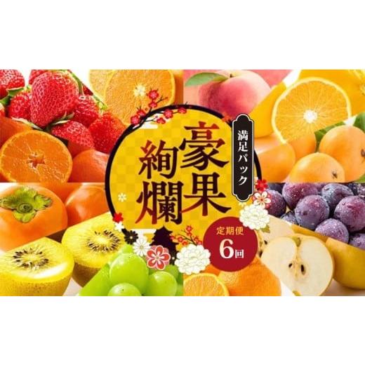 ふるさと納税 果物の詰合せ 香川県 丸亀市 定期便6回 満足パック フルーツ 果物 定期便 いちご 桃 シャインマスカットデコポン ピオーネ みかん 小原紅早生 …
