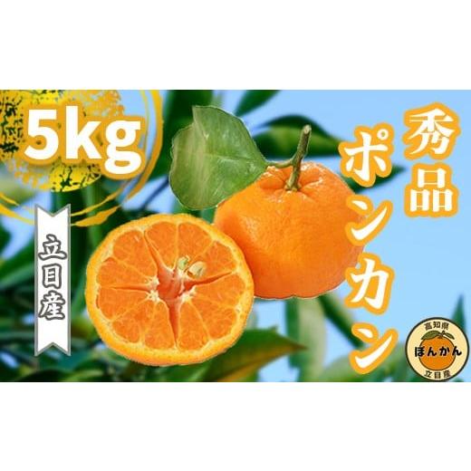 ふるさと納税 みかん・柑橘類 高知県 須崎市 早期予約開始 2026年1月中旬より順次発送 ポンカン 立目 秀品 贈答用 5kg L サイズ 冬 フルーツ 果物 立目産 ブ…