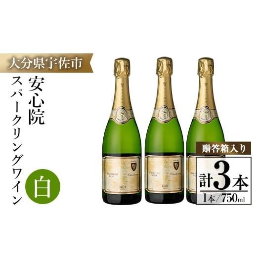 ふるさと納税 ワイン セット 大分県 宇佐市 安心院スパークリングワイン白(750ml×3本) 酒 お酒 ワイン 白ワイン アルコール 飲料 ぶどう 葡萄 ギフト 贈り物 …
