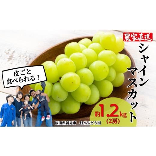 ふるさと納税 ぶどう マスカット 岡山県 新見市 村本ぶどう園 シャインマスカット 約1.2kg 2房 先行予約 2026年10月上旬から順次発送
