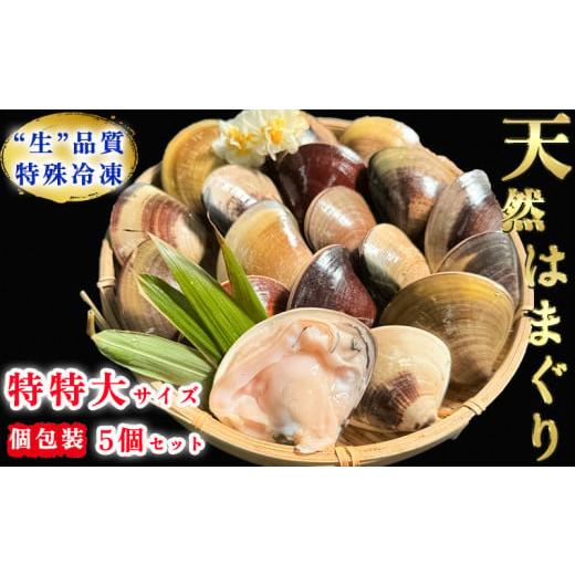 ふるさと納税 しじみ・あさり・蛤 蛤(はまぐり) 愛知県 南知多町 岬だよりの 個包装 大粒 天然はまぐり(特特大サイズ)170g前後×5個入り 天然はまぐり(特特…