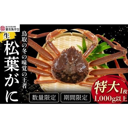 ふるさと納税 カニ 松葉ガニ 鳥取県 倉吉市 倉吉魚市 生松葉がに(特大)1kg以上 松葉ガニ ズワイガニ 冷蔵 かにしゃぶ カニ刺身 ずわいがに 鮮度抜群 鳥取県…