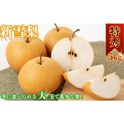 ふるさと納税 梨 鳥取県 八頭町 新雪梨(特秀) 5kg