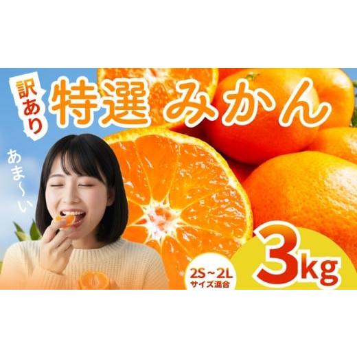 ふるさと納税 果物類 みかん 高知県 安芸市 2025年12月上旬〜発送 訳あり アカメの国農園みかん 3kg / 訳あり 温州みかん みかん ミカン 家庭用 わけあり 蜜…