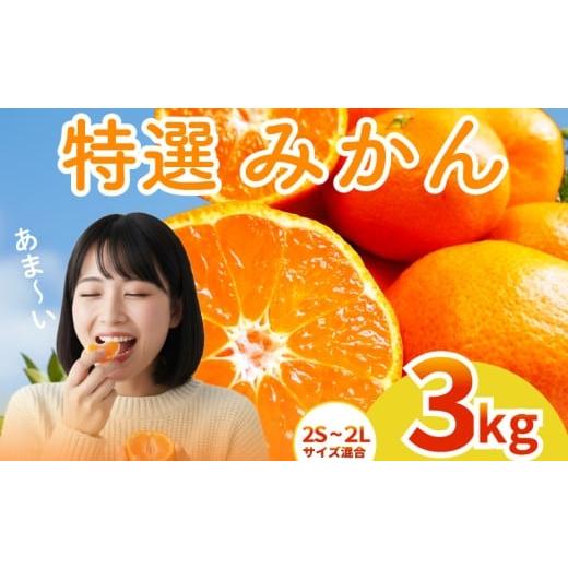 ふるさと納税 果物類 みかん 高知県 安芸市 2025年12月上旬〜発送 アカメの国農園特選みかん 特秀 3kg / 温州みかん みかん ミカン 蜜柑 ルーツ 果物 みかん…