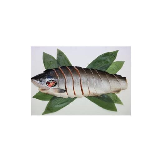 ふるさと納税 魚貝類 鮭 北海道 斜里町 ふるさと納税 活〆 時知らず鮭 切身 中塩仕込 半身 1600g(魚体4kg以上)斜里町産 1691654