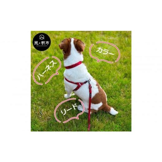 ふるさと納税 アウトドアグッズ 香川県 高松市 香川県産 丈夫でやさしい綿帆布ドッグハーネス 天然コットン ネイビー、1点 ネイビー_5