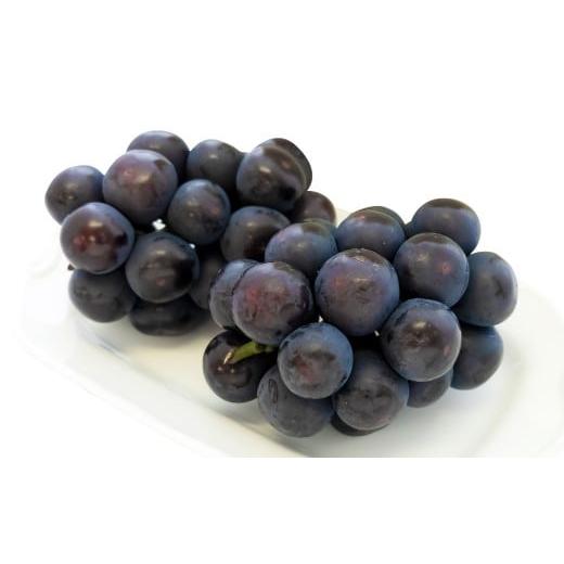 ふるさと納税 ぶどう 岡山県 美咲町 ご 家庭 用 オーロラブラック 2〜3房 1.2kg 2026年9月上旬から10月上旬頃発送予定 / 果物 くだもの フルーツ ぶどう ブ…