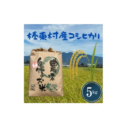 ふるさと納税 米 群馬県 榛東村 令和8年産 お米コシヒカリ(精米) 5kg ストロベリーみなみ 1691177