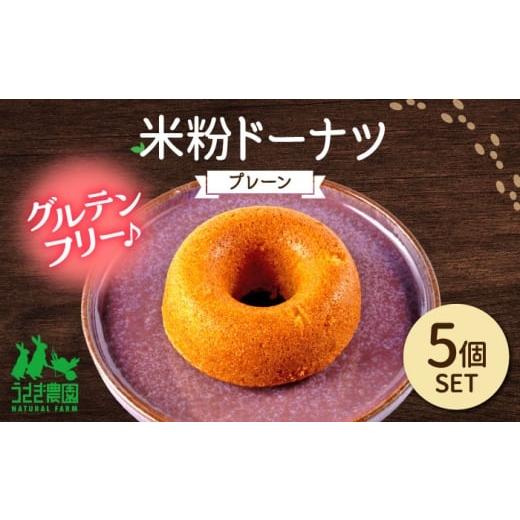 ふるさと納税 焼菓子・チョコレート ドーナツ 熊本県 合志市 米粉ドーナツ(プレーン)5個セット うさぎ農園