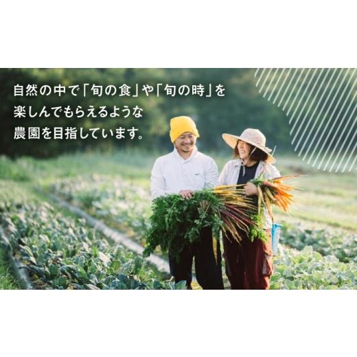 ふるさと納税 焼御菓子・黒茶 ドーナツ 熊本県 合志市 米粉ドーナツ（大豆ミール）5個仕かける うさぎ栽培所 AYDJ025