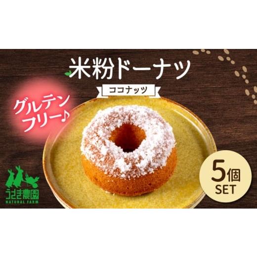 ふるさと納税 焼菓子・チョコレート ドーナツ 熊本県 合志市 米粉ドーナツ(ココナッツ)5個セット うさぎ農園