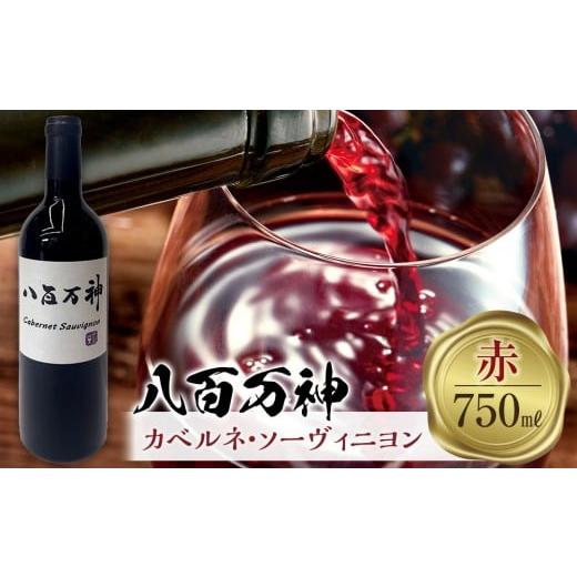 ふるさと納税 ワイン 赤ワイン 和歌山県 海南市 赤ワイン 八百万神カベルネ・ソーヴィニヨン 2024 八百万神(Yaoyorozu)