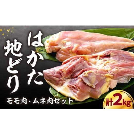 ふるさと納税 鶏肉 セット 福岡県 八女市 はかた地どりモモムネセット 2kg(1kg×2p) はかた地どり 地鶏 郷土料理 水炊き 焼肉 ステーキ 炭火焼 筑前煮 福岡県 …
